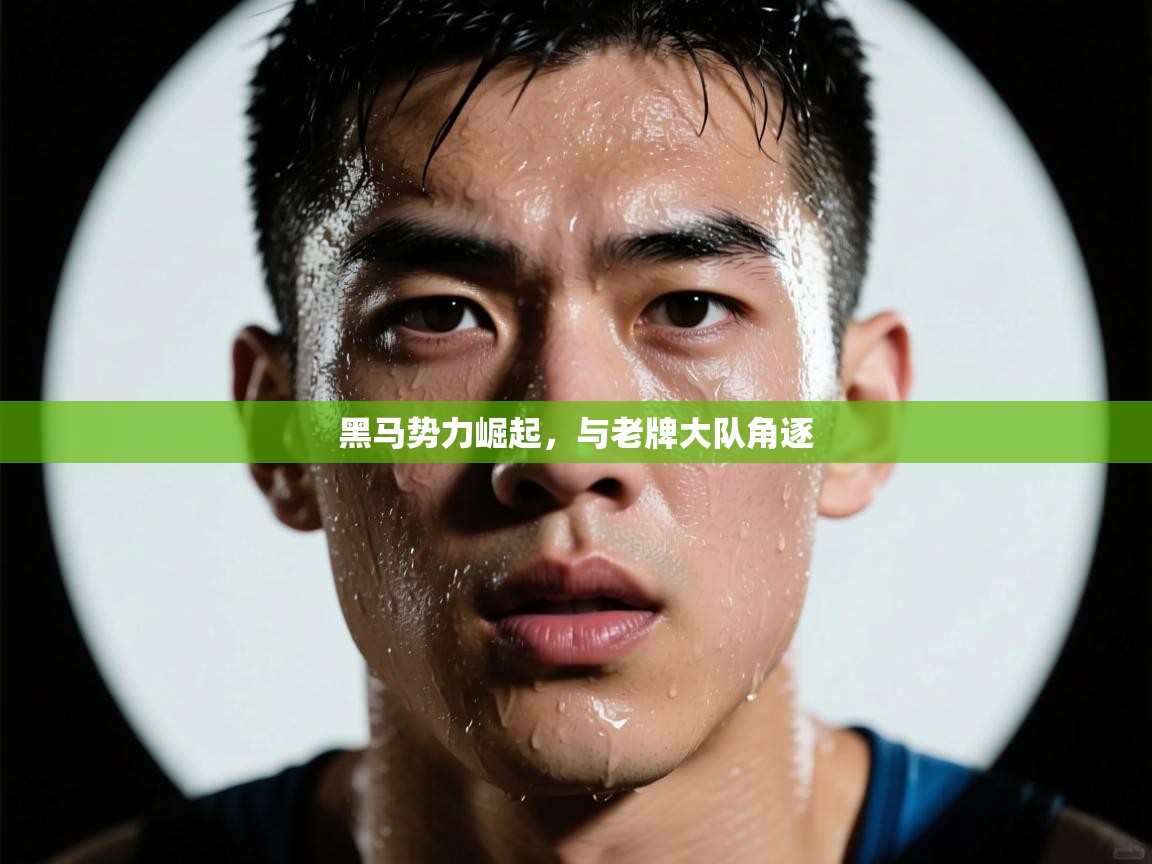 黑马势力崛起,与老牌大队角逐 第2张